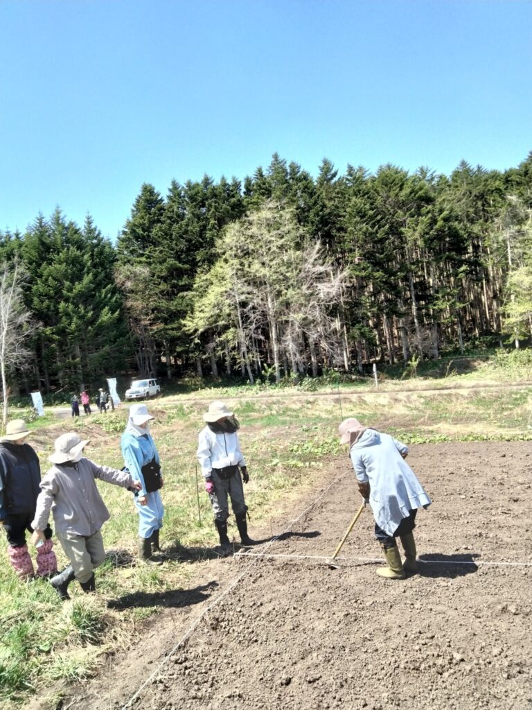 種を蒔きました