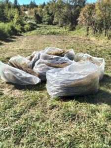 野晒作業終わりました