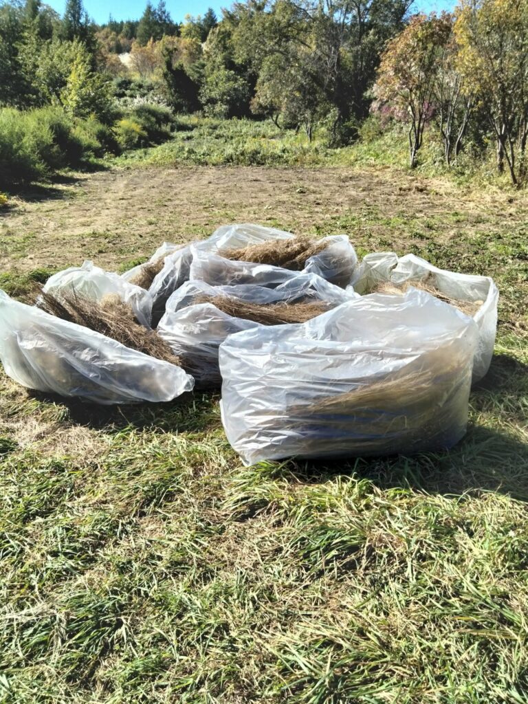 野晒作業終わりました